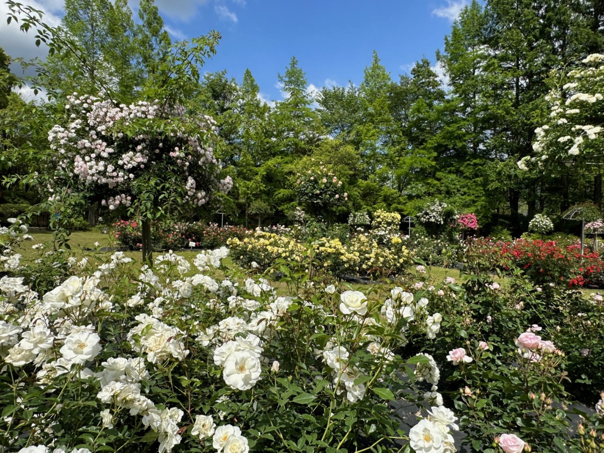 多 可 町 余暇 村 公園